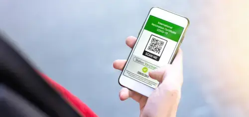 landoo y odoo experience 21 landoo y odoo experience 21