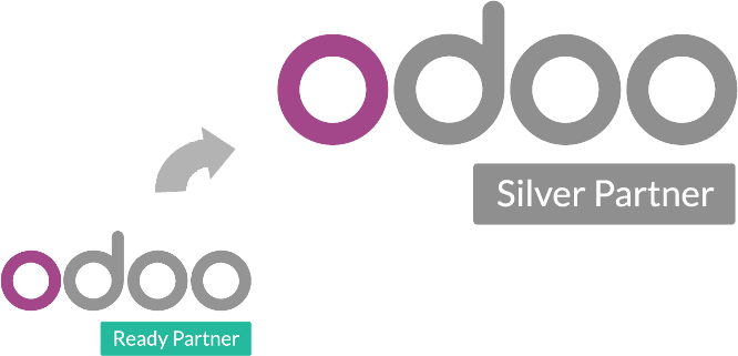 Odoo CMS - a big picture